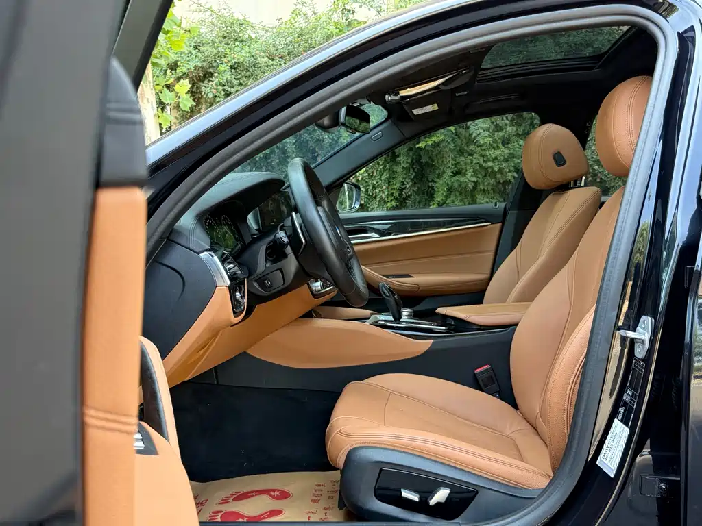 BMW 5 Series 2019