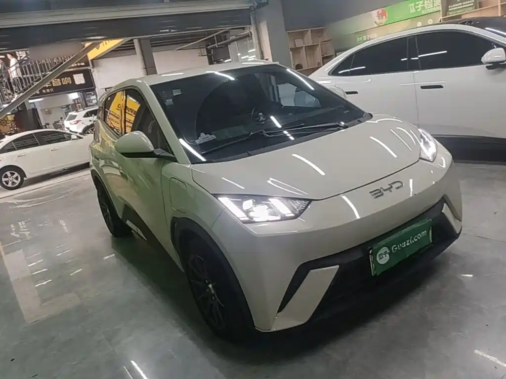 BYD Seagull 2024