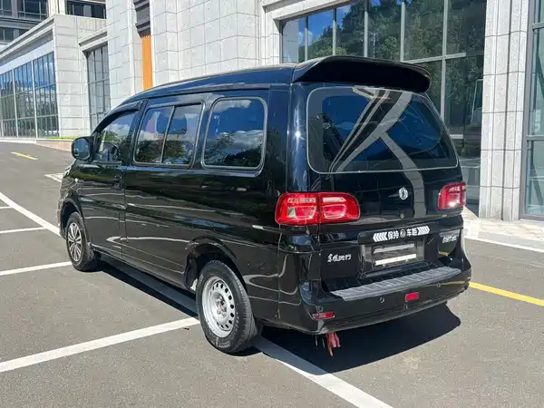 Dongfeng Lingzhi 2020