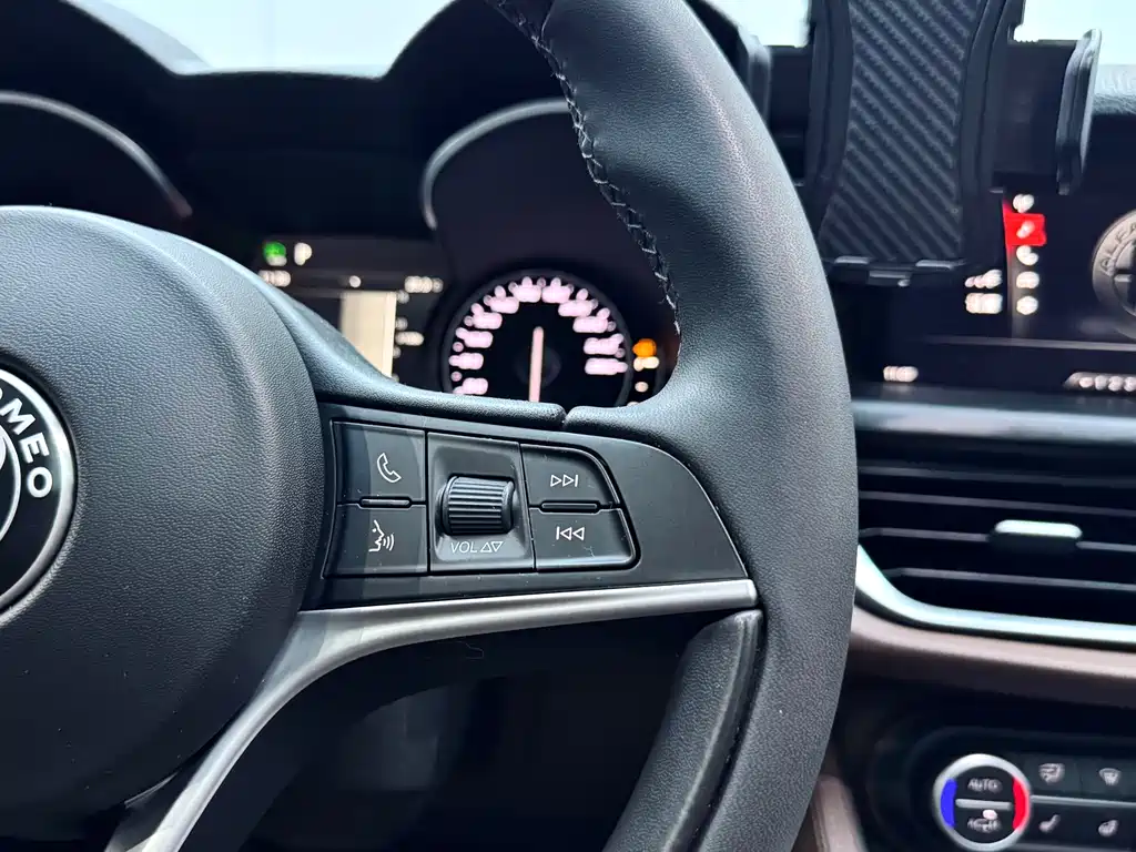 Alfa Romeo Stelvio 2019 — фото 21