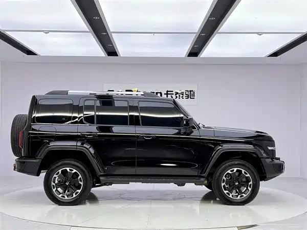 Tank 300 New Energy 2025