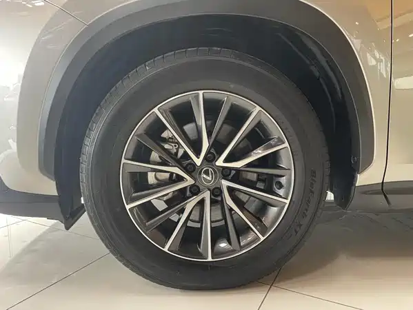 Lexus NX New Energy 2023