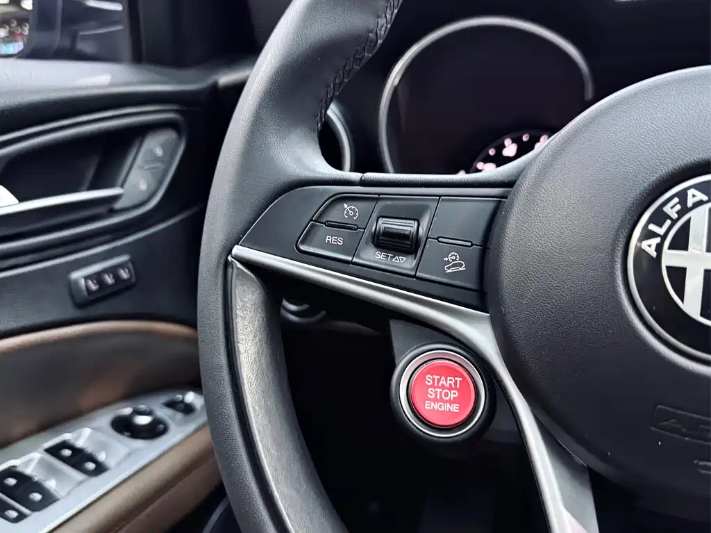 Alfa Romeo Stelvio 2019 — фото 20