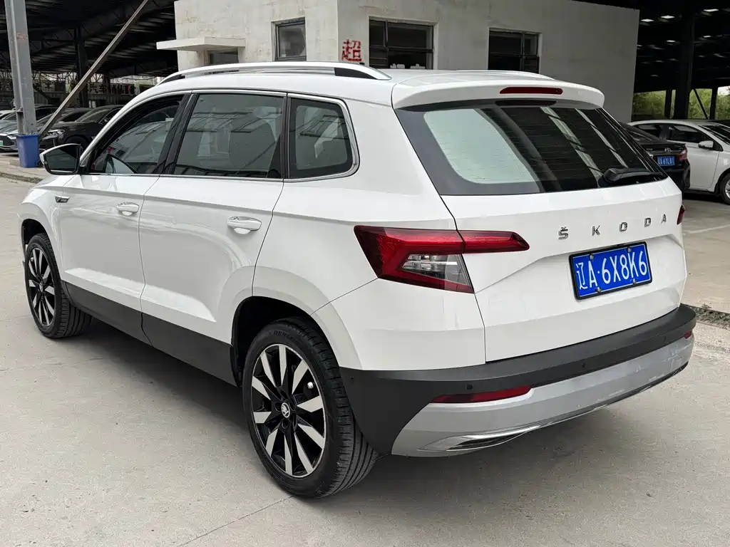 Skoda Karoq 2019 — фото 6
