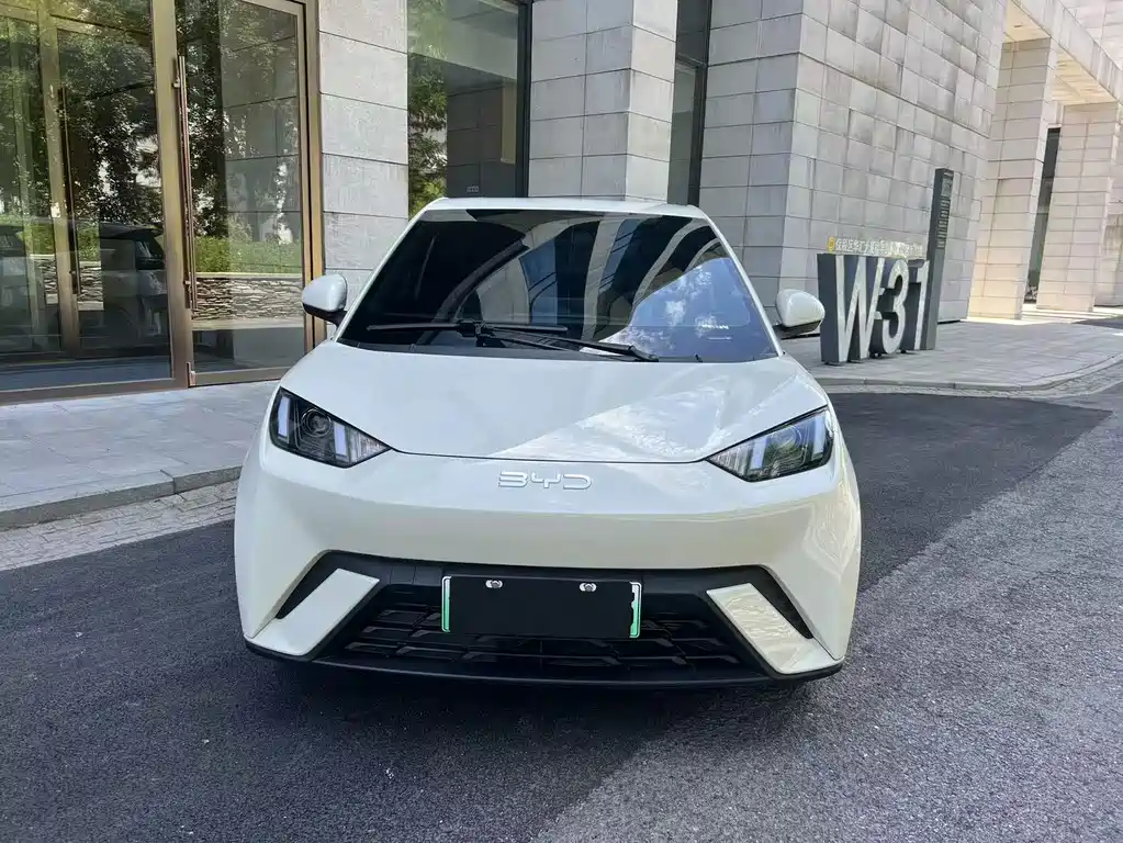 BYD Seagull 2024