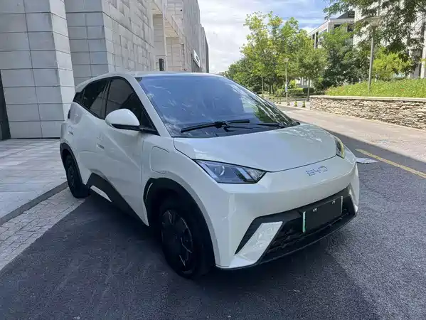 BYD Seagull 2024