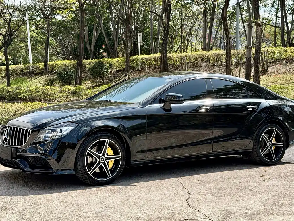 Mercedes-Benz CLS 2014 — фото 1