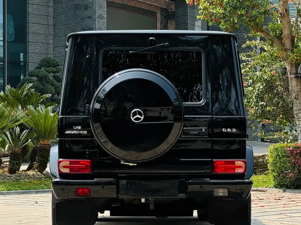 Mercedes-Benz G-Class AMG 2012 — фото 12