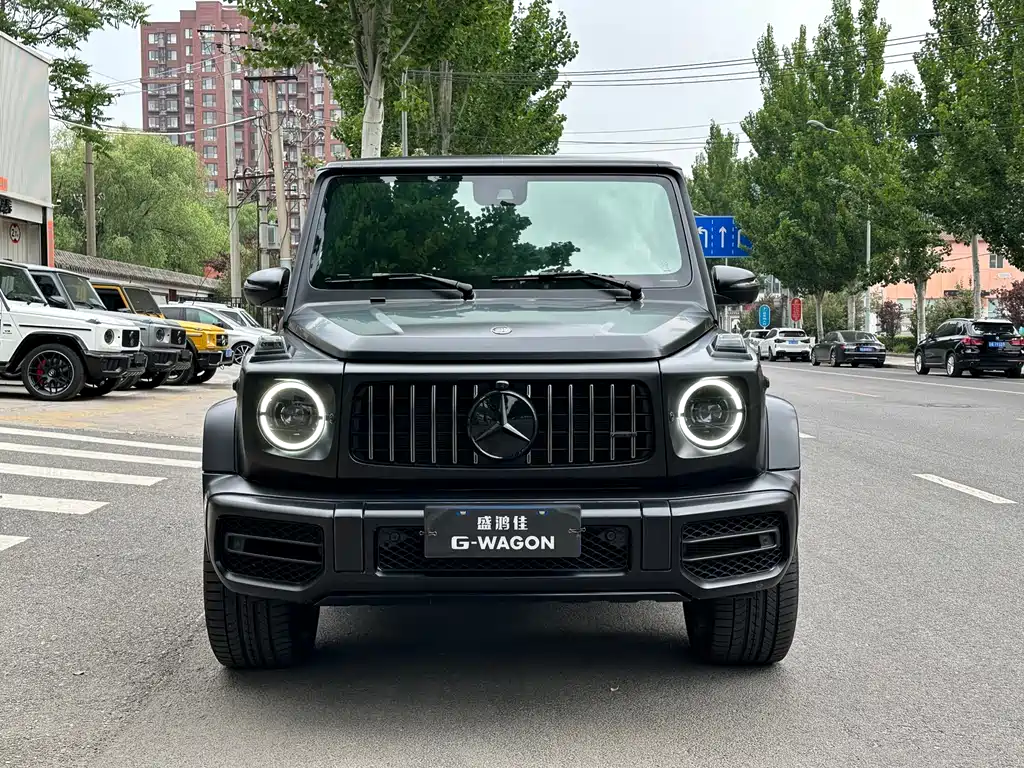Mercedes-Benz G-Class 2019 — фото 4