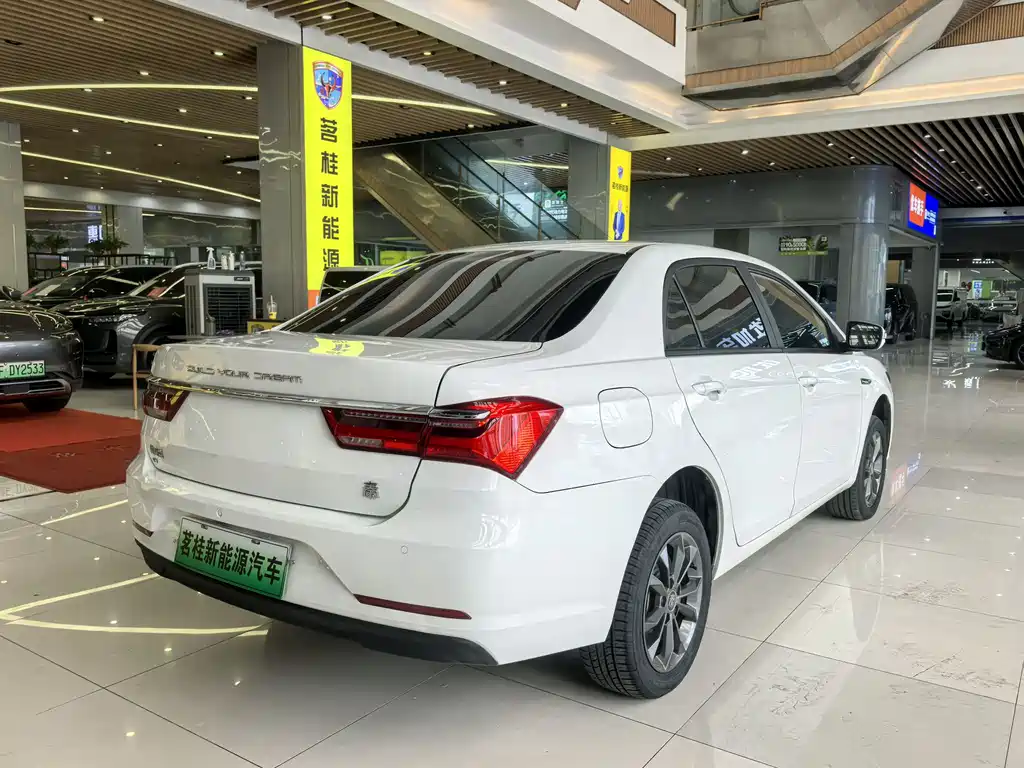 BYD Qin NEV 2021