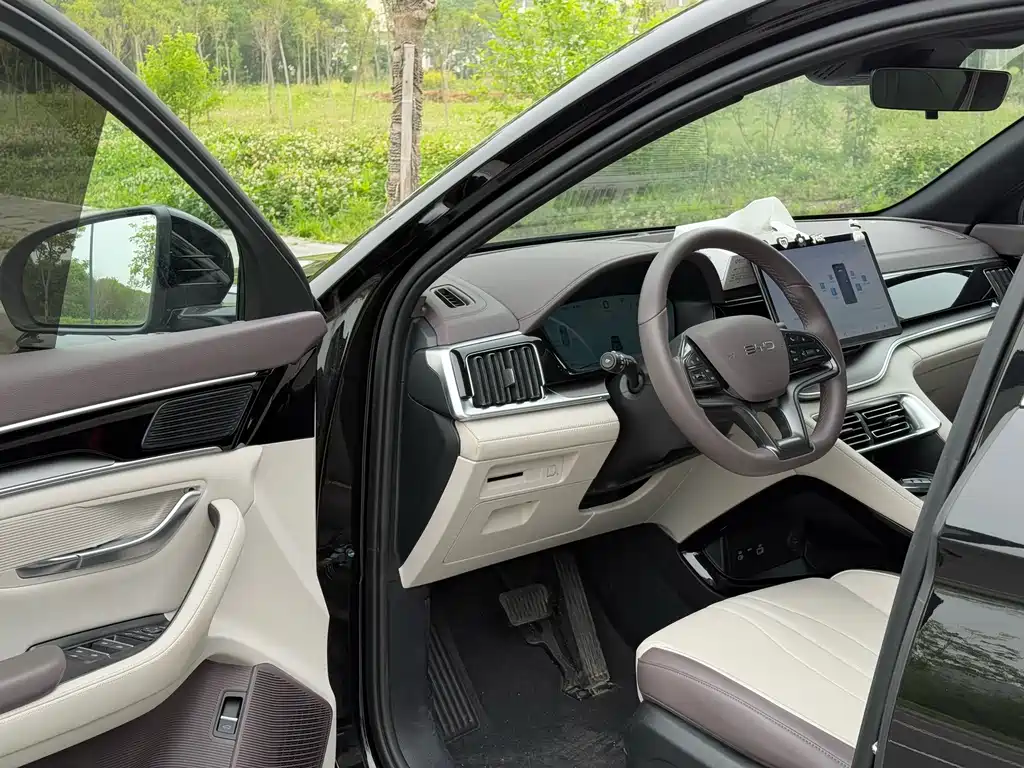 BYD PLUS New Energy 2024 — фото 4