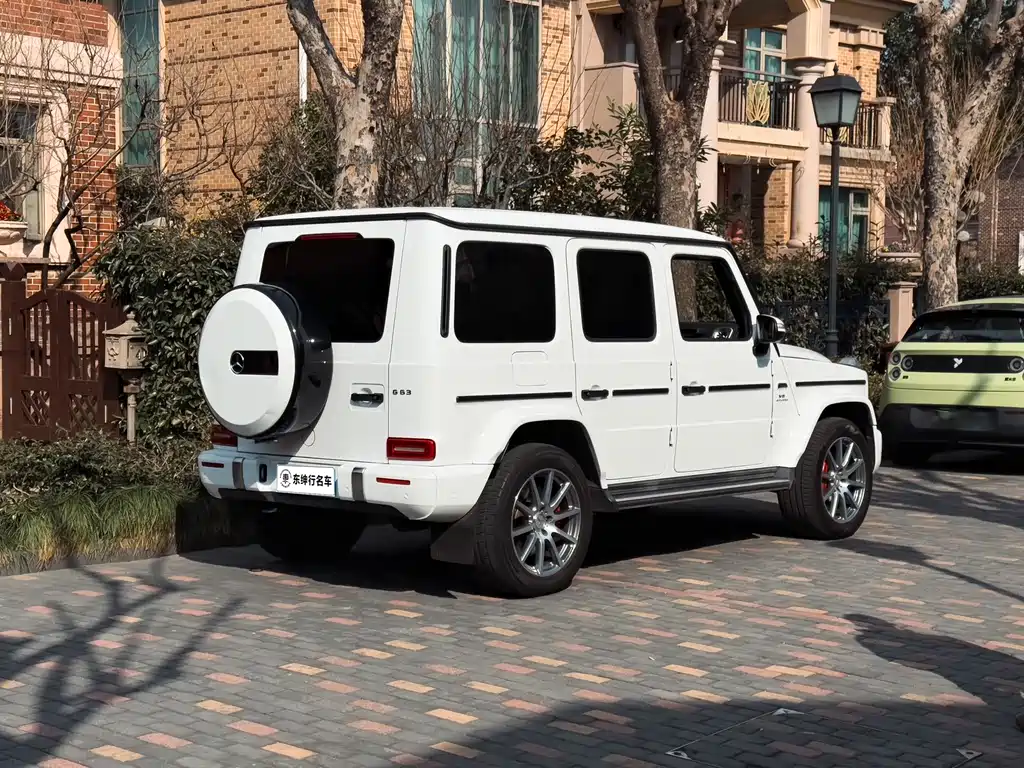 Mercedes-Benz G-Class AMG 2020 — фото 4