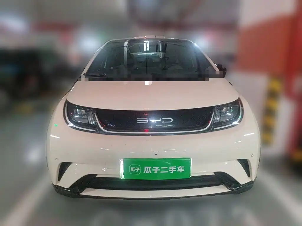 BYD Dolphin 2024