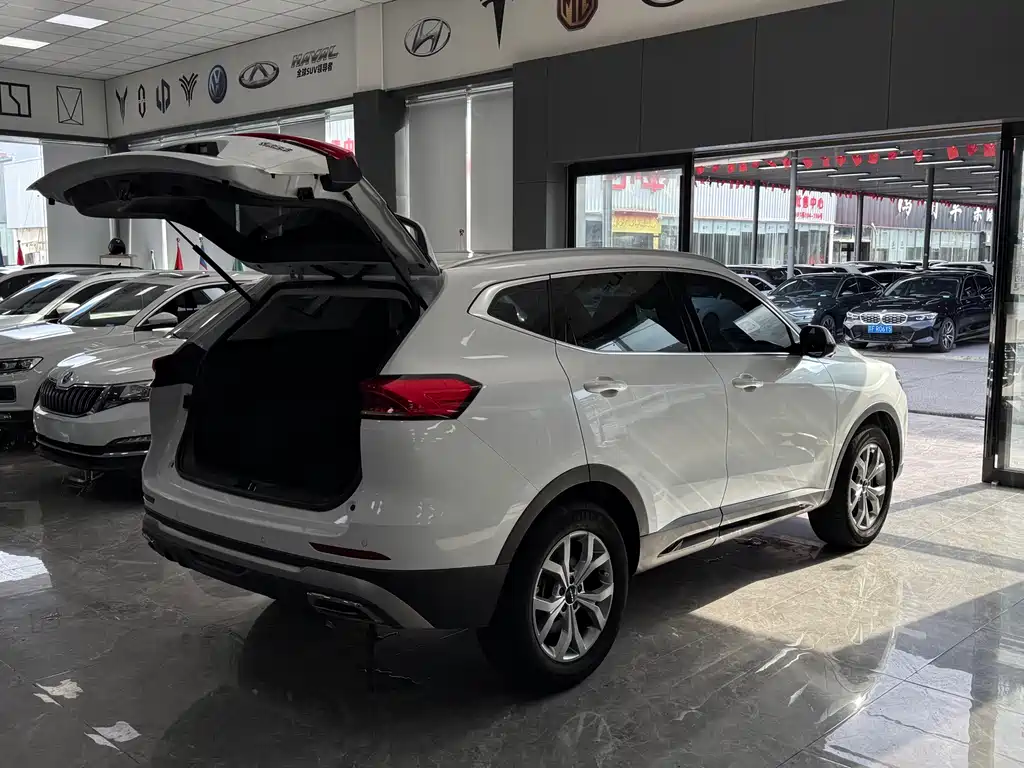 Haval H6 2022 — фото 14