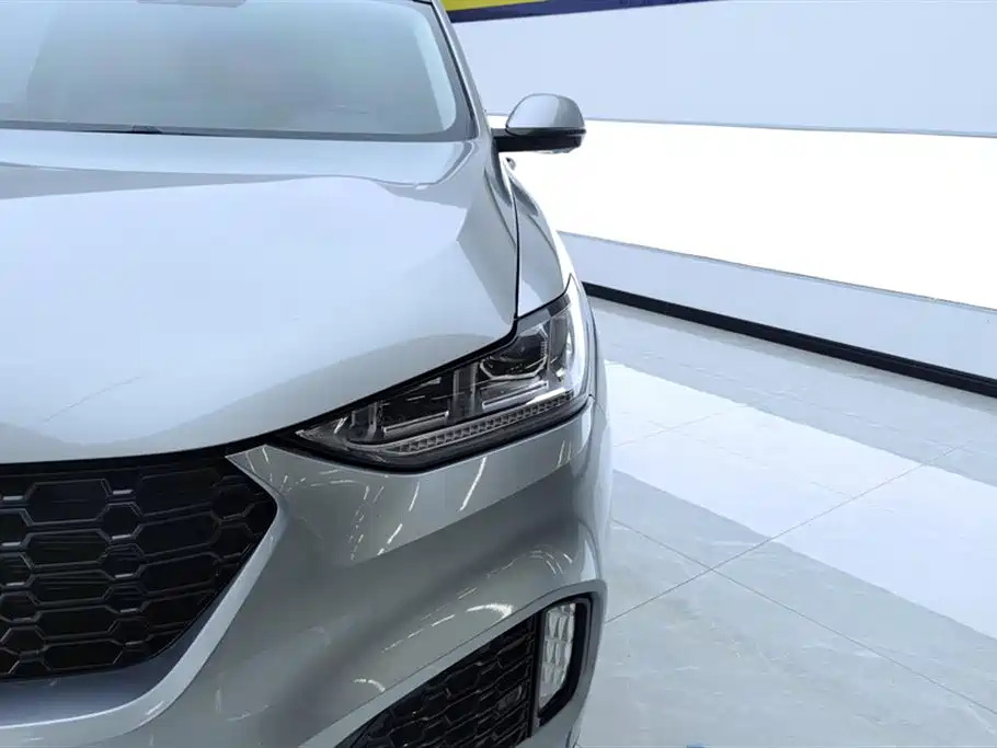 Wey VV6 2019