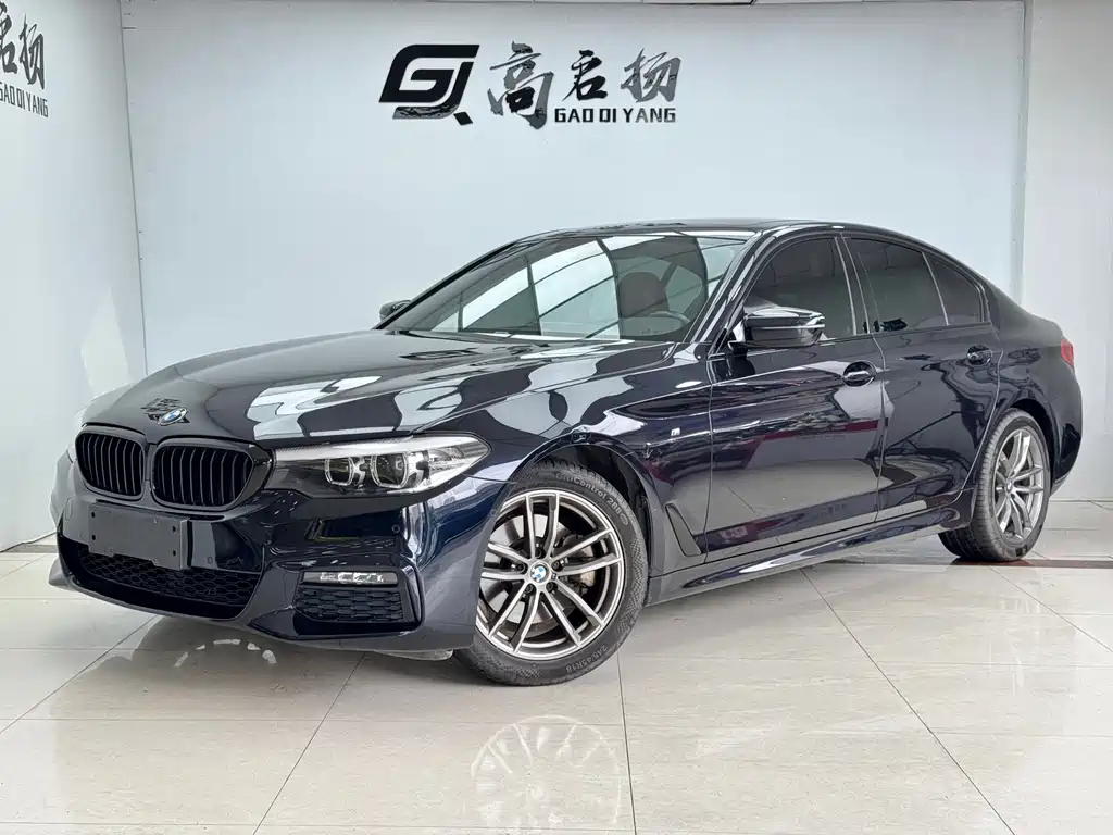 BMW 5 Series 2019