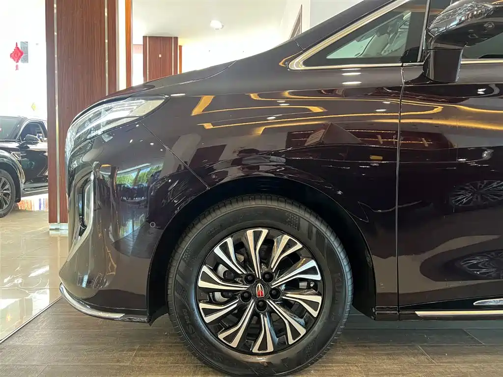 Hongqi HQ9 PHEV 2024 — фото 11