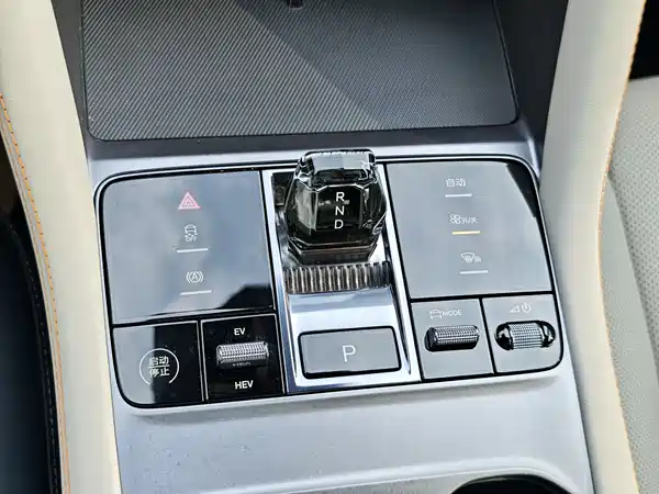 BYD Song PLUS New Energy 2024