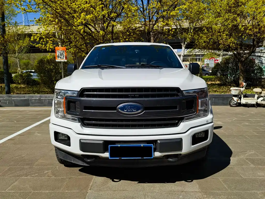 Ford F-150 Raptor 2020 — фото 1