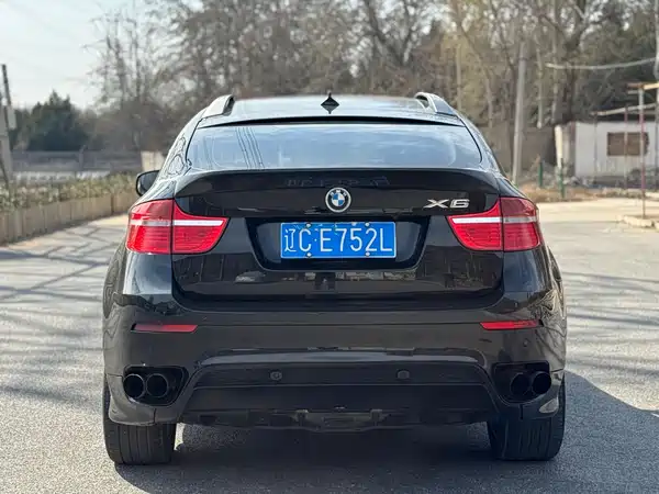 BMW X6 2009