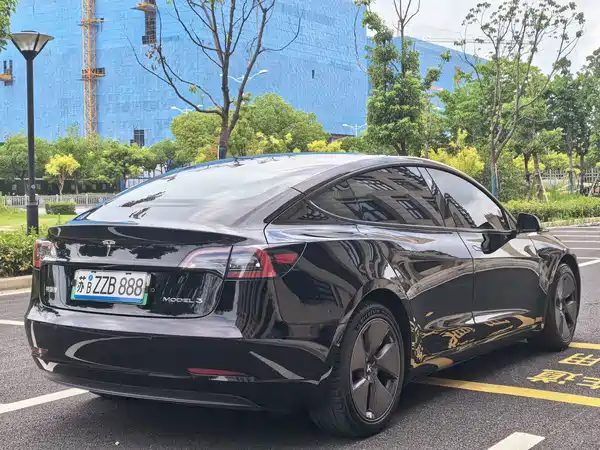 Tesla Model 3 2021