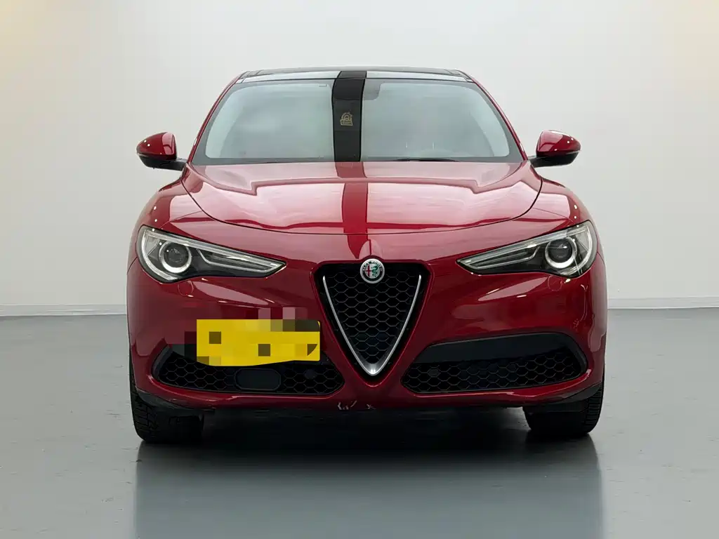 Alfa Romeo Stelvio 2019 — фото 2