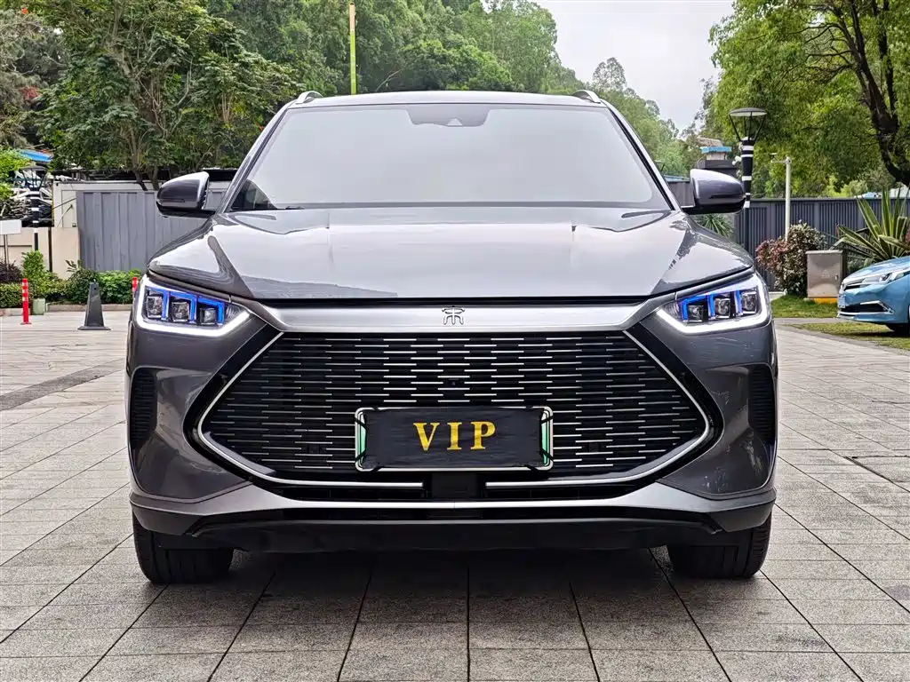 BYD PLUS New Energy 2022 — фото 2
