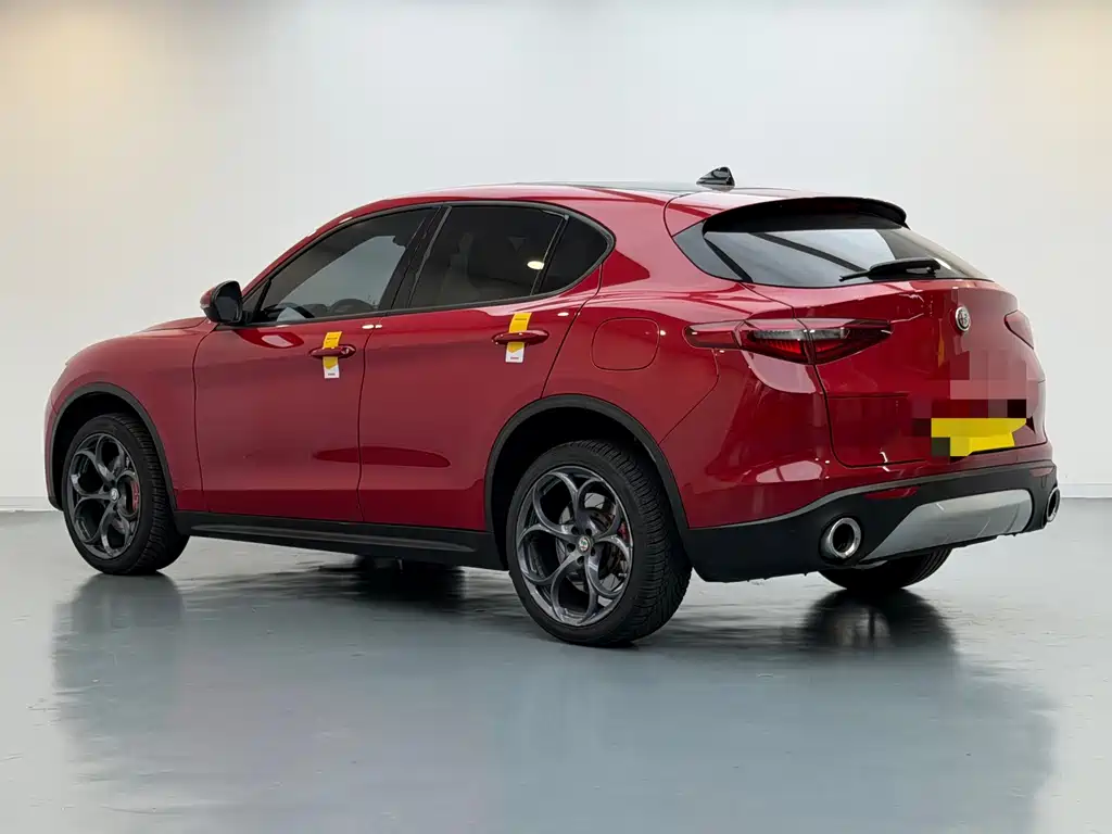 Alfa Romeo Stelvio 2019 — фото 6