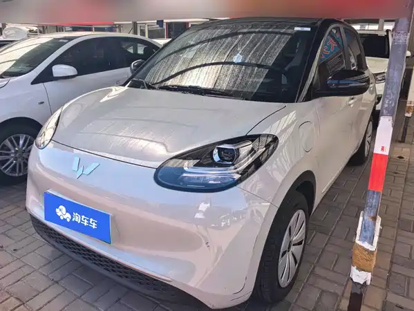 Wuling Bingo 2025