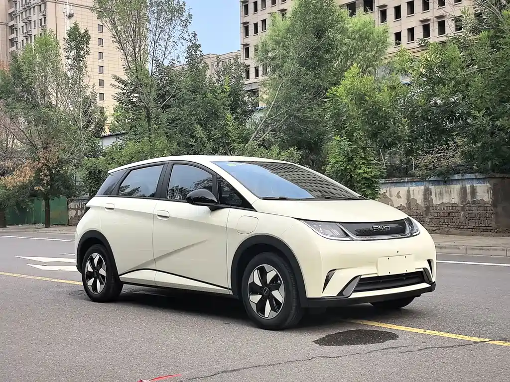 BYD Dolphin 2026