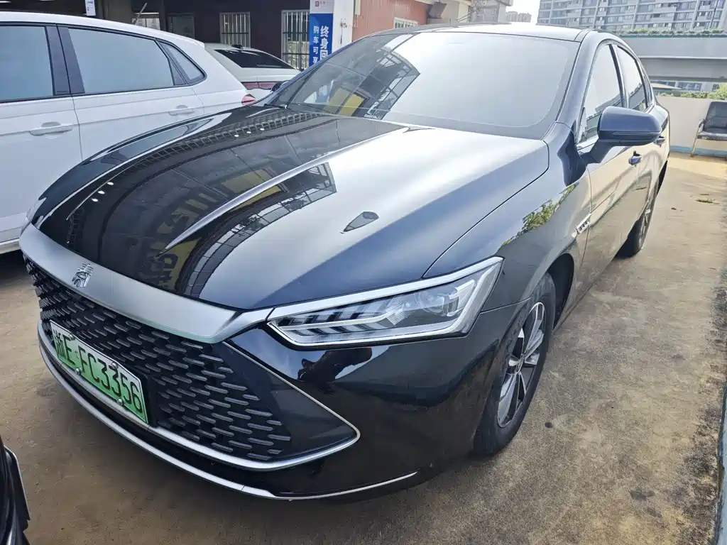 BYD Qin PLUS 2024 — фото 1