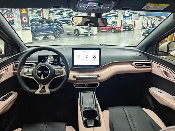 BYD Seagull 2024