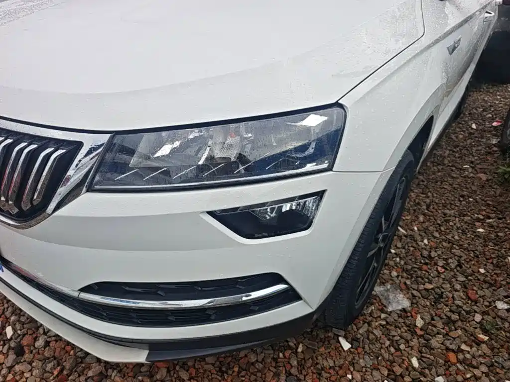 Skoda Karoq 2021 — фото 24
