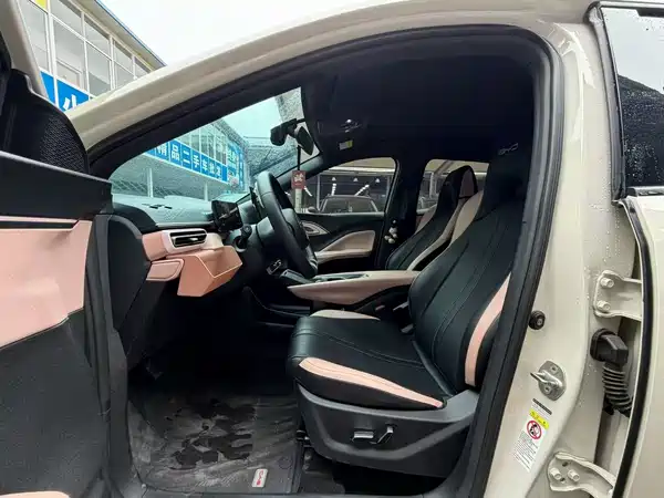 BYD Seagull 2024