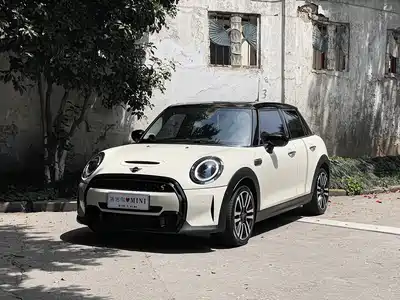 MINI MINI 2022