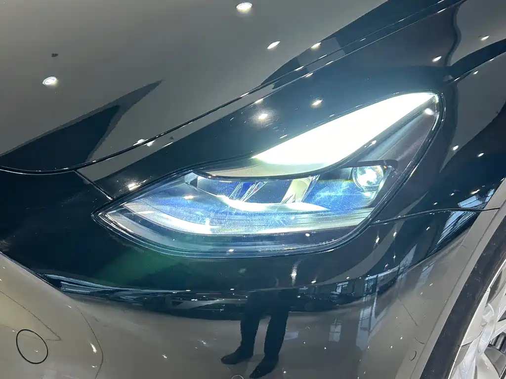 Tesla Model Y 2021 — фото 2