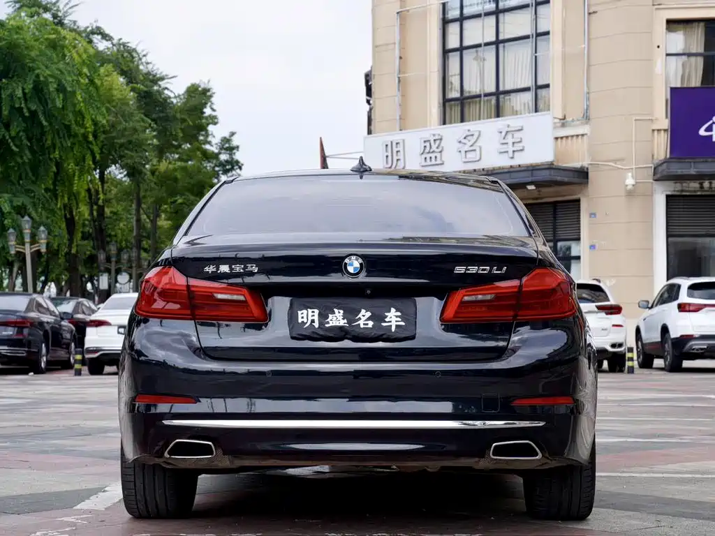 BMW 5 Series 2018 — фото 15