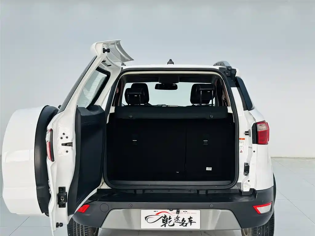 Ford Ecosport 2017 — фото 24