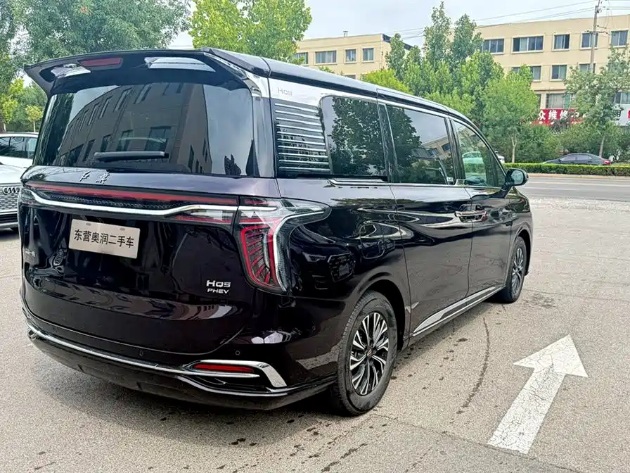 Hongqi HQ9 PHEV 2024 — фото 10