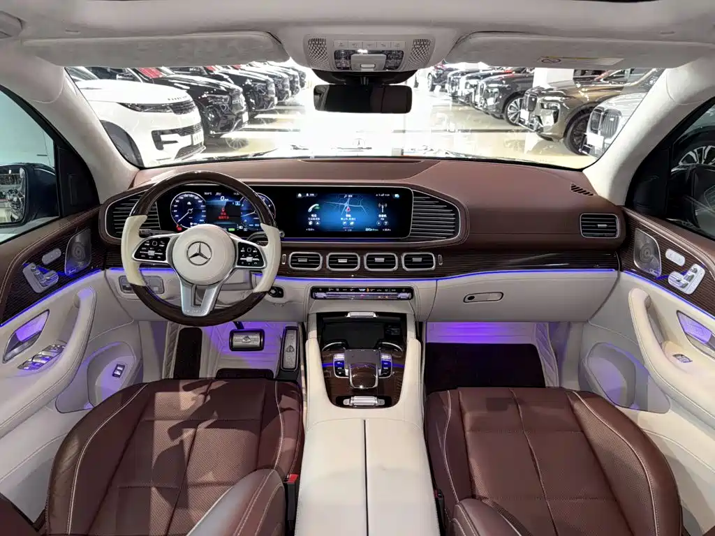 Mercedes-Benz Maybach GLS 2021 — фото 16