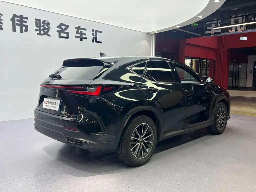 Lexus NX 2024 — фото 18