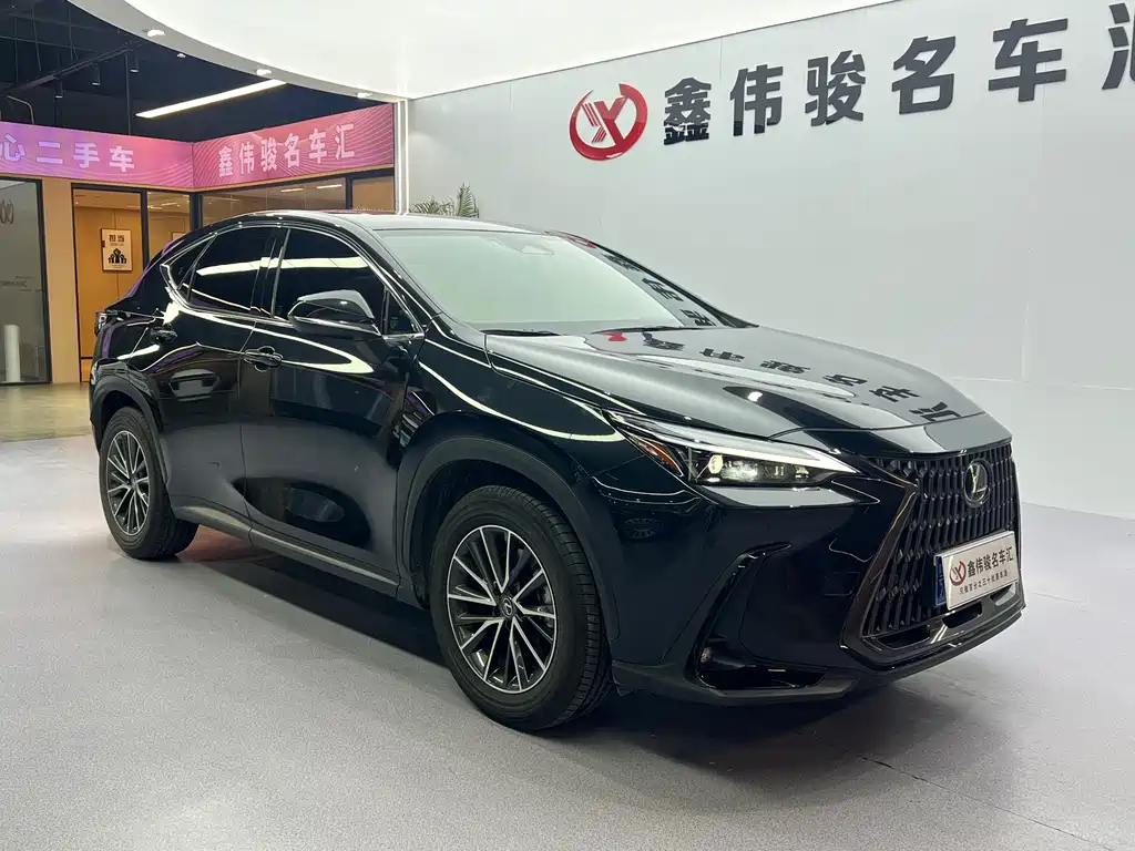 Lexus NX 2024 — фото 4