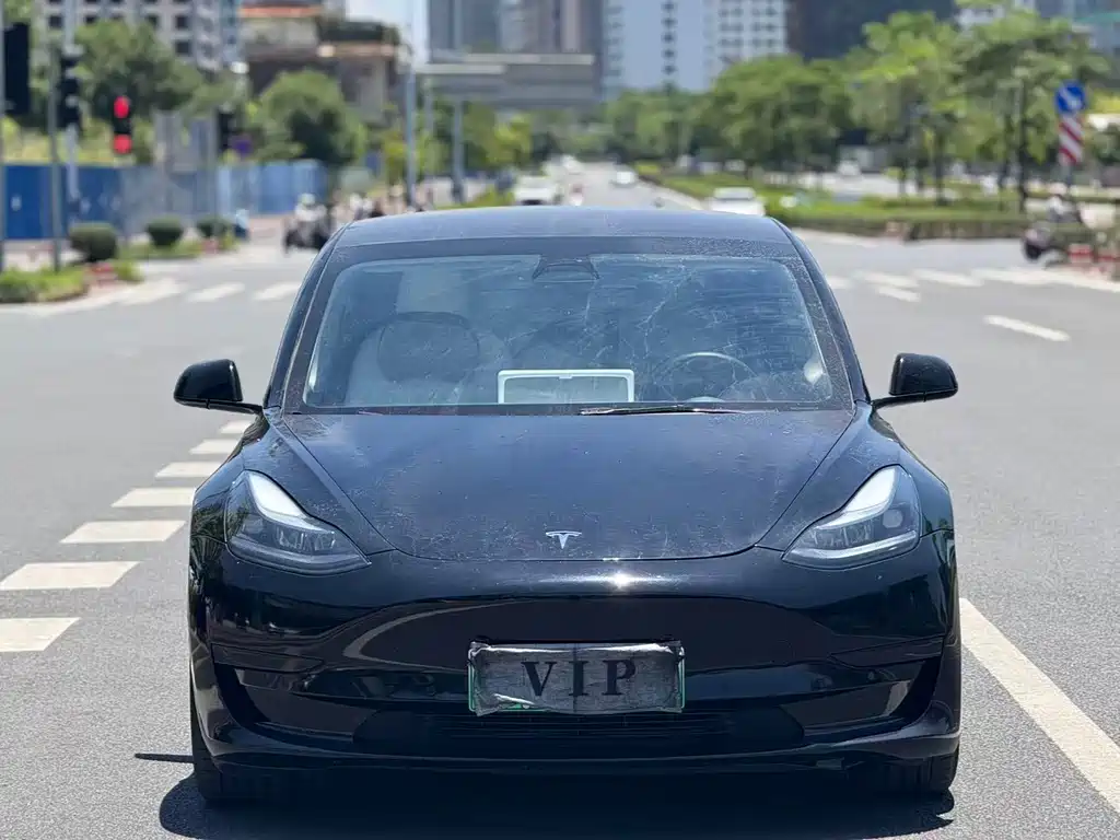 Tesla Model 3 2021 — фото 2