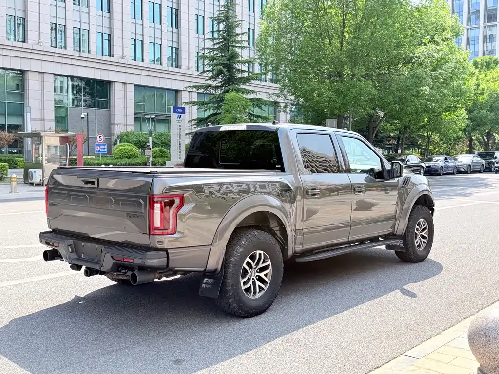 Ford F-150 Raptor 2018 — фото 19