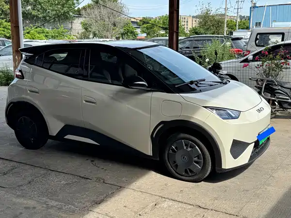 BYD Seagull 2025