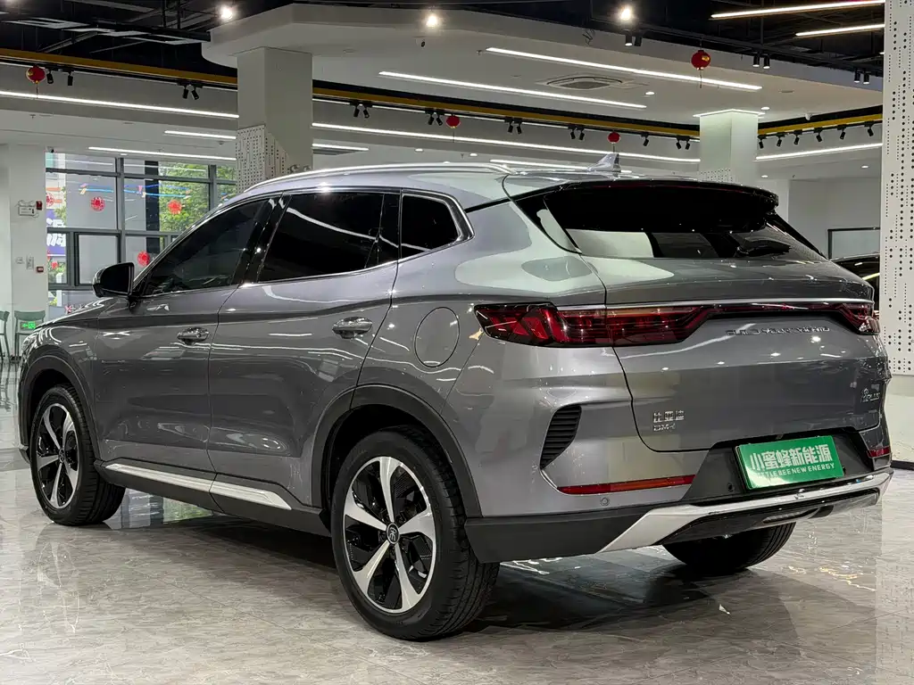 BYD PLUS New Energy 2023 — фото 14