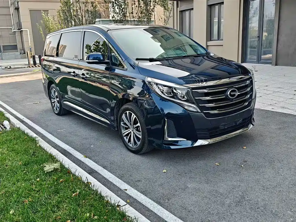 GAC Motor Trumpchi M8 2020 — фото 10