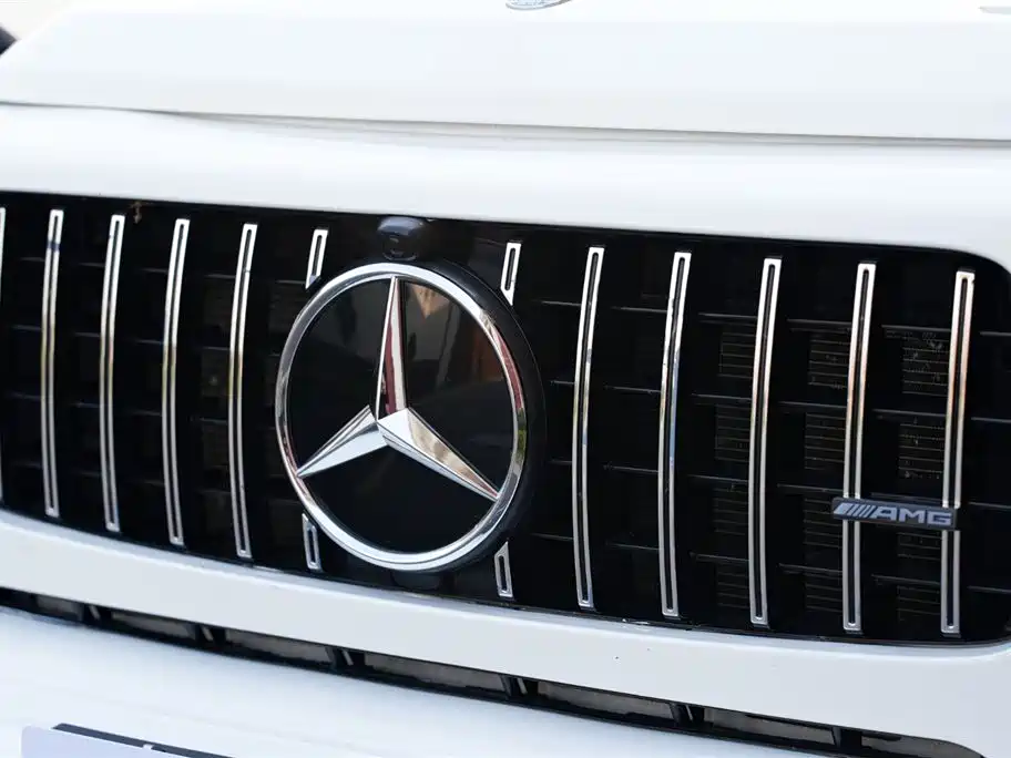 Mercedes-Benz G-Class 2020 — фото 21