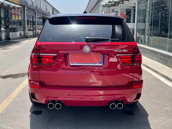 BMW X5 2010