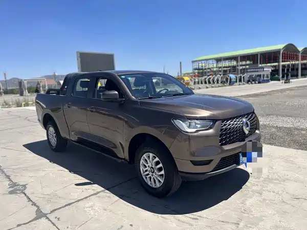 Great Wall Poer 2020
